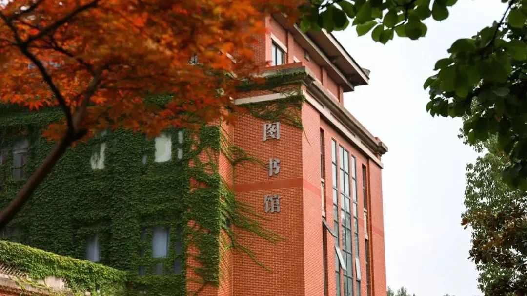 上海徐汇区国际高中学校｜IEC中日融合课程班，开设日本高中课程！