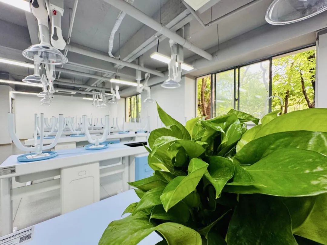 7月26日，上海常青藤学校张江科学城新校区首场实景探校！