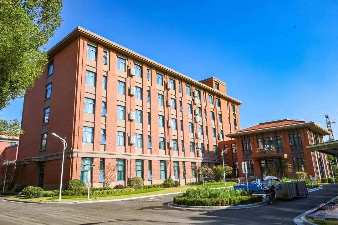 先稳扎根基，再从容升学！上海天华国际中本贯通的多元路径，让孩子们少些焦虑多些稳妥