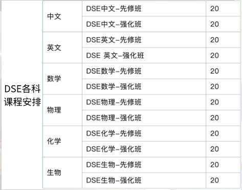 香港DSE补习机构哪家好？香港机构DSE课程辅导，名师教学助力摘星！