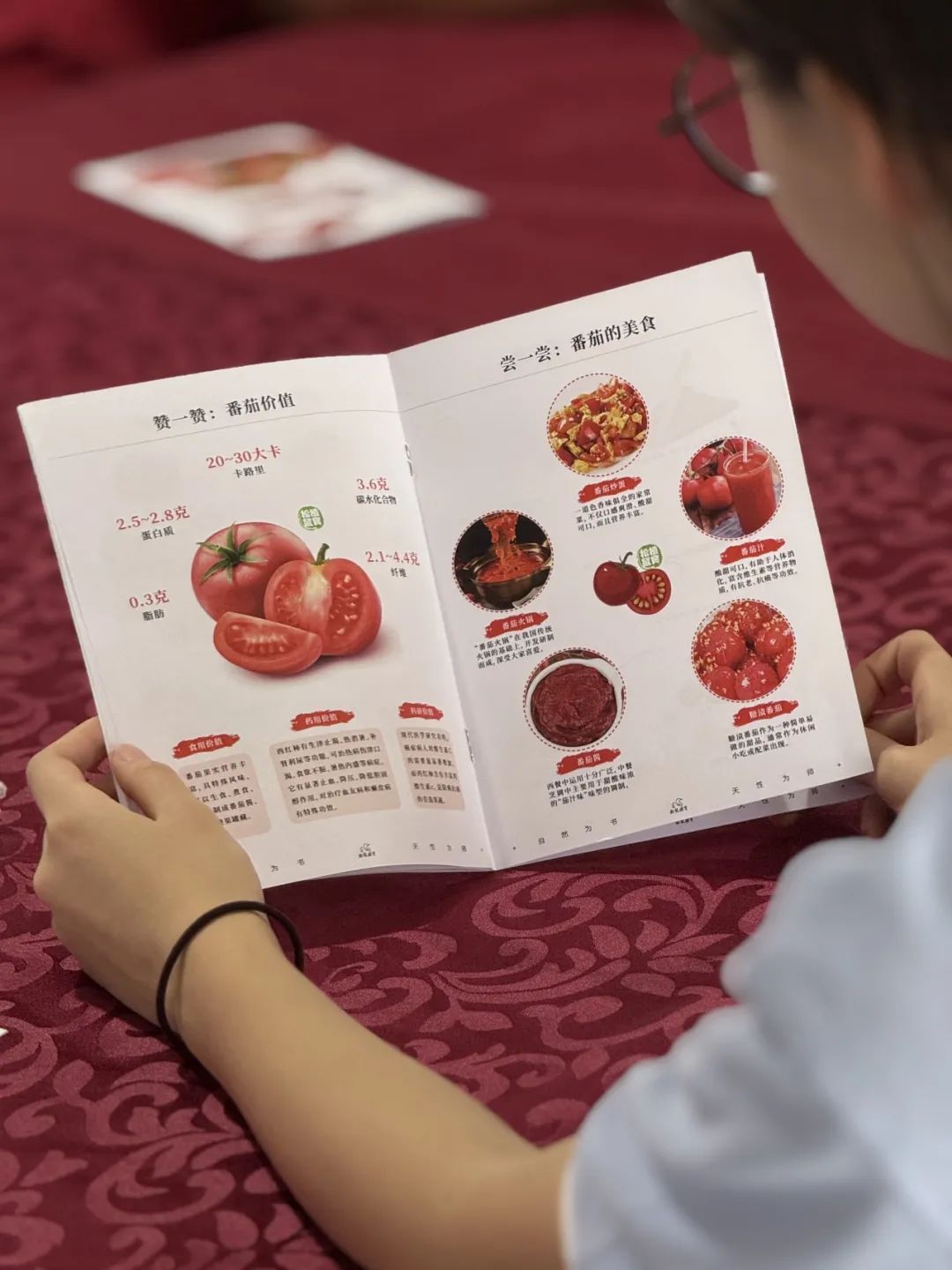 向往的生活｜农场研学沉浸式体验有机农耕