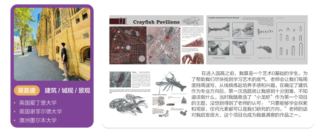 南京公办国际部｜南京雨花台中学国际部2025年秋季招生简章！英联邦、日本、德国、美国、艺术五大升学方向！
