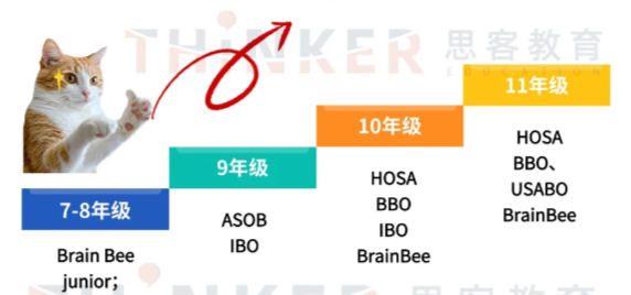 对生物感兴趣？初、高中阶段如何通过竞赛提升?盘点6大热门国际生物竞赛