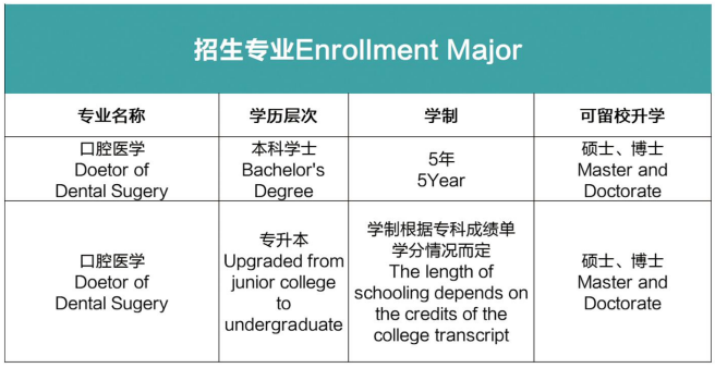 2025马来西亚林肯大学学院口腔医学国际本科1+5医学定向项目