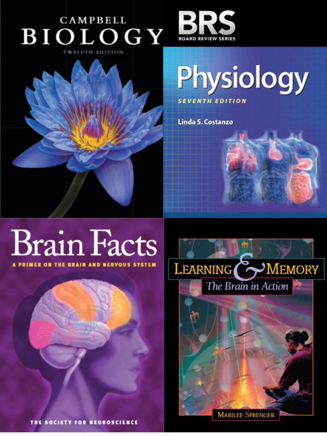 7-12年级国际生应该如何规划生物竞赛？BrainBee/BBO/USABO /IGEM一文解析
