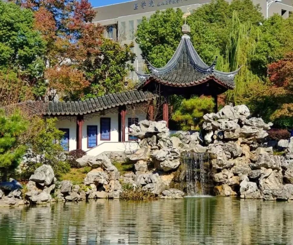 2025南京大学出国留学UFP课程班招生简章