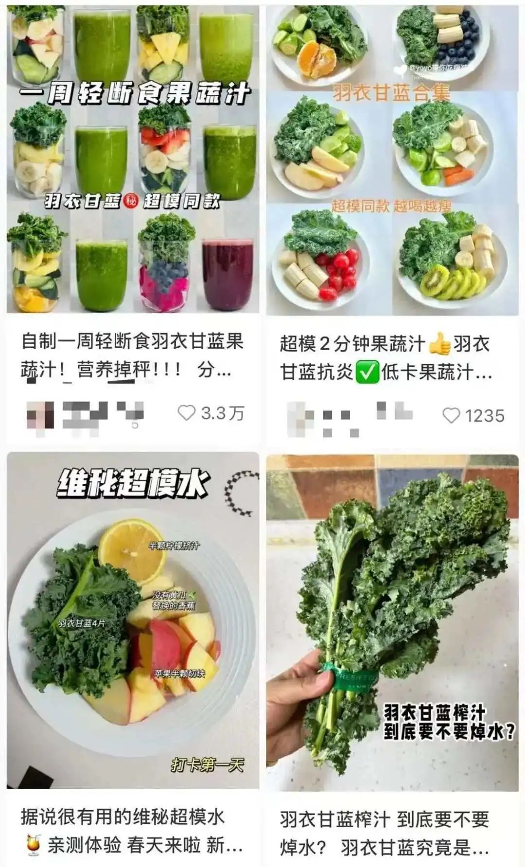 IEPQ选题灵感｜营销学——从绿化带到网红杯的羽衣甘蓝如何走上顶流之路？