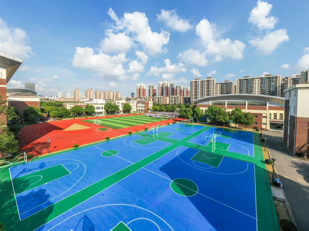 江苏开设DSE课程的学校有哪些|dse多少分上香港大学