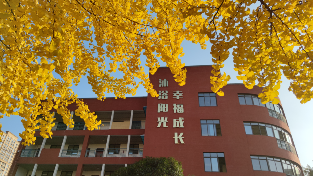 七初天环、教科院附中领衔！盘点高新区五大教育集团！
