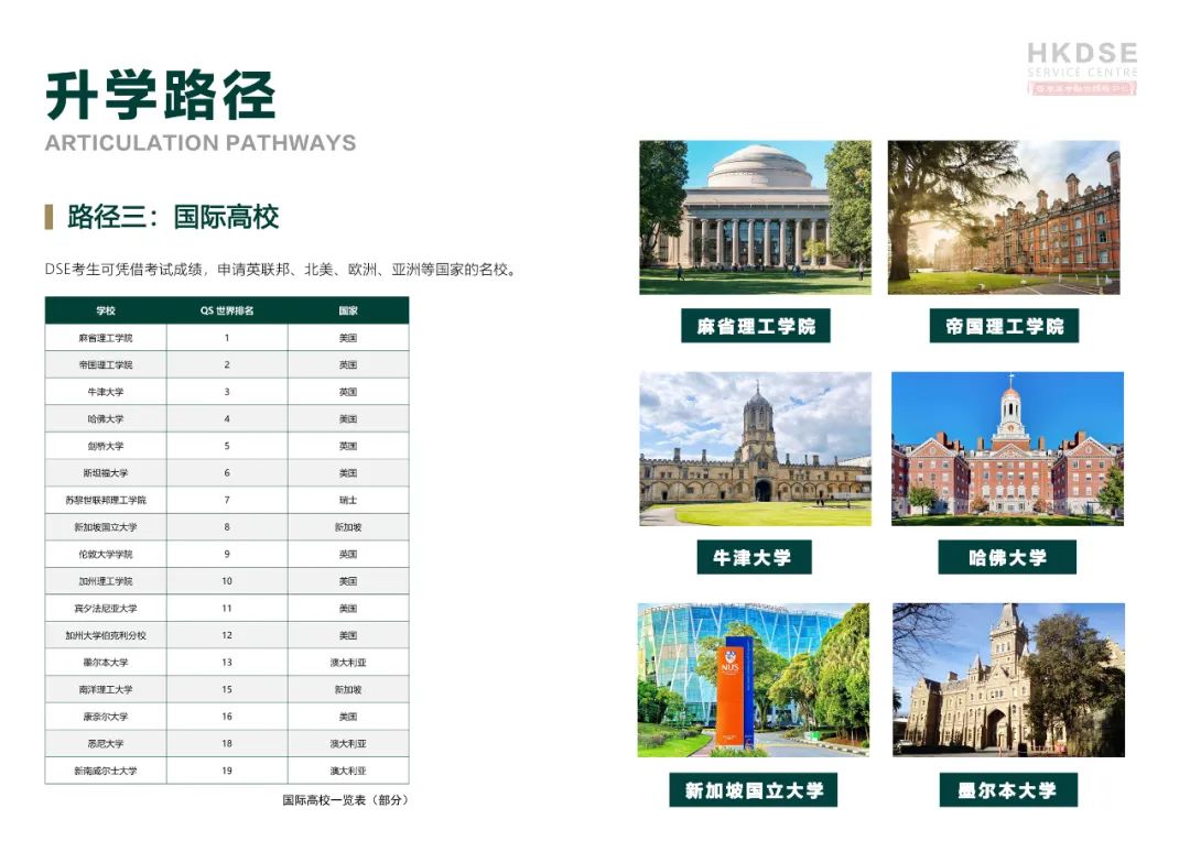 中考后，为什么那么多家庭都在选择香港DSE课程？