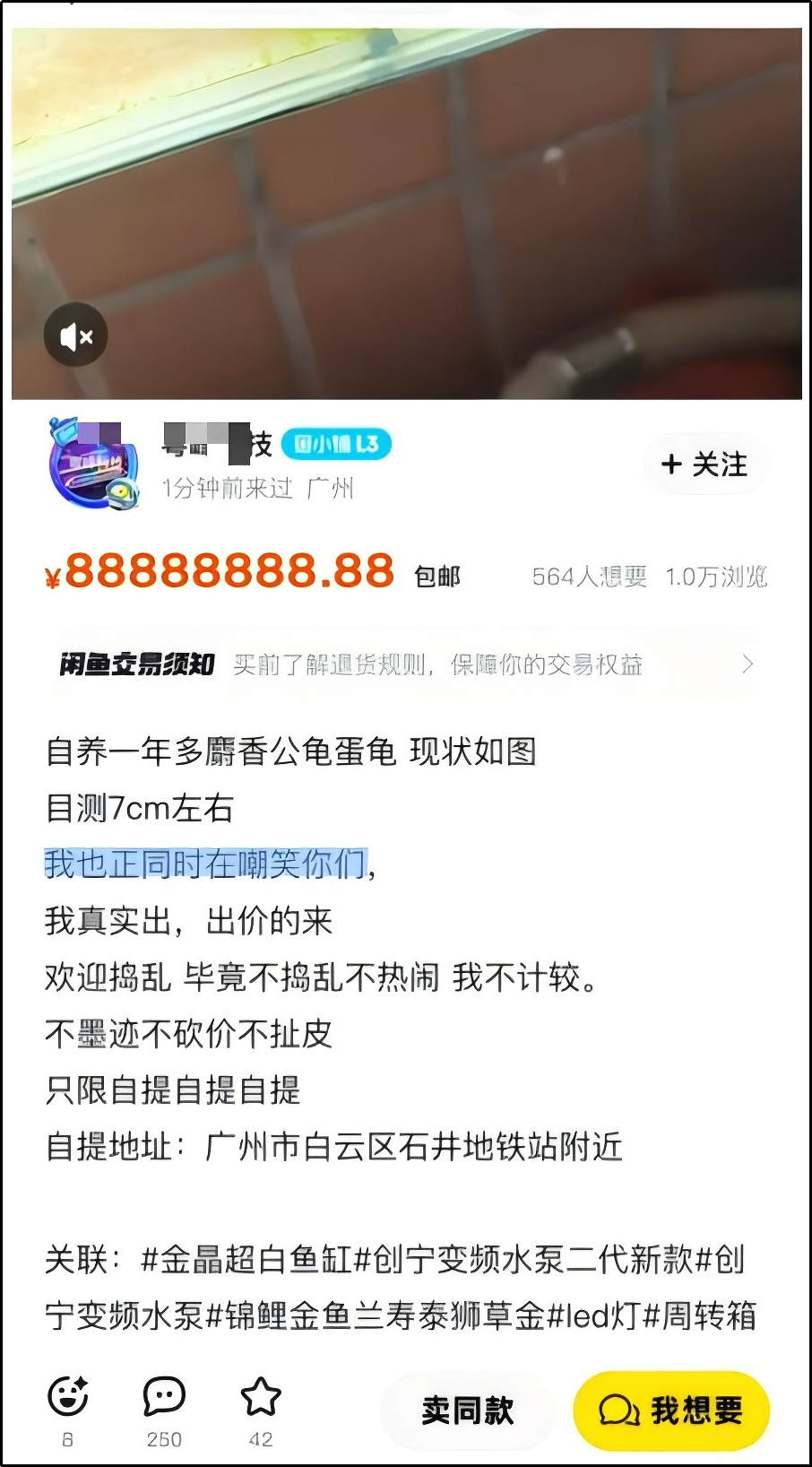 CTB课题推荐 | 以闲鱼为例，探究行为经济学与心理学维度下的交易策略