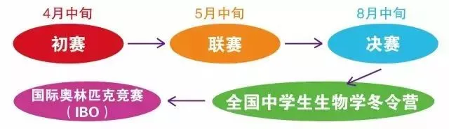 想冲清华北大？千万不能错过高中生物联赛（高联生物）