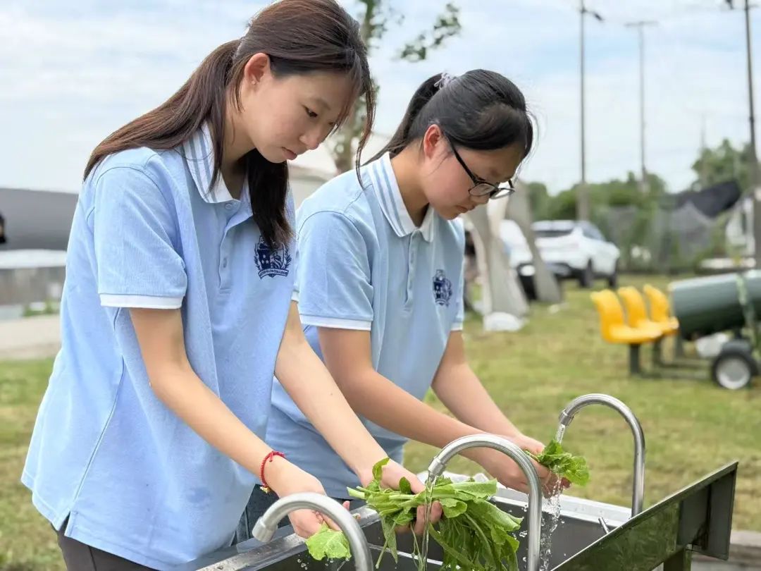 向往的生活｜农场研学沉浸式体验有机农耕