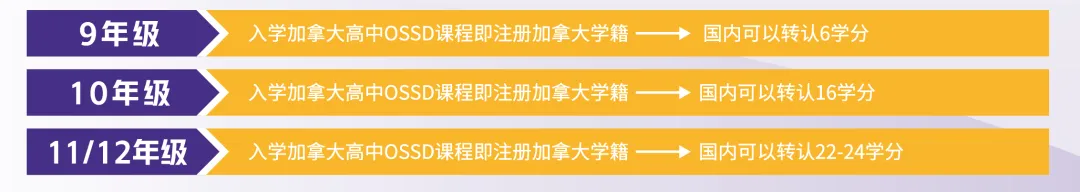 南京国际高中｜学费8万一年！不限学籍户籍！南京理工紫金学院A- level&OSSD课程2025年招生简章！
