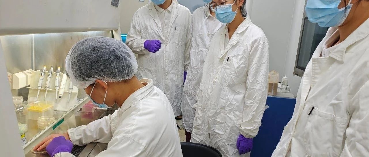 上海浦外国际部联动上硅所开展馆校协同课程