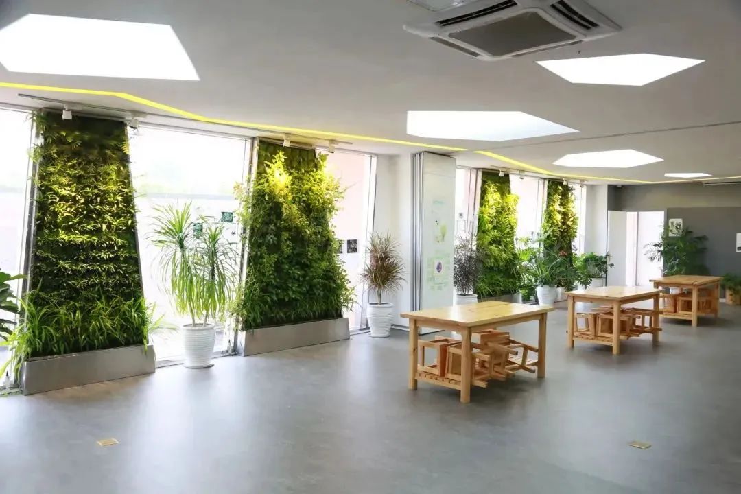 深圳国际学校｜深圳市南山区道新学校