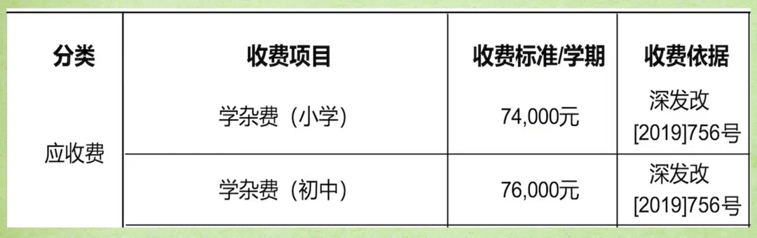 深圳国际学校｜深圳市南山区道新学校