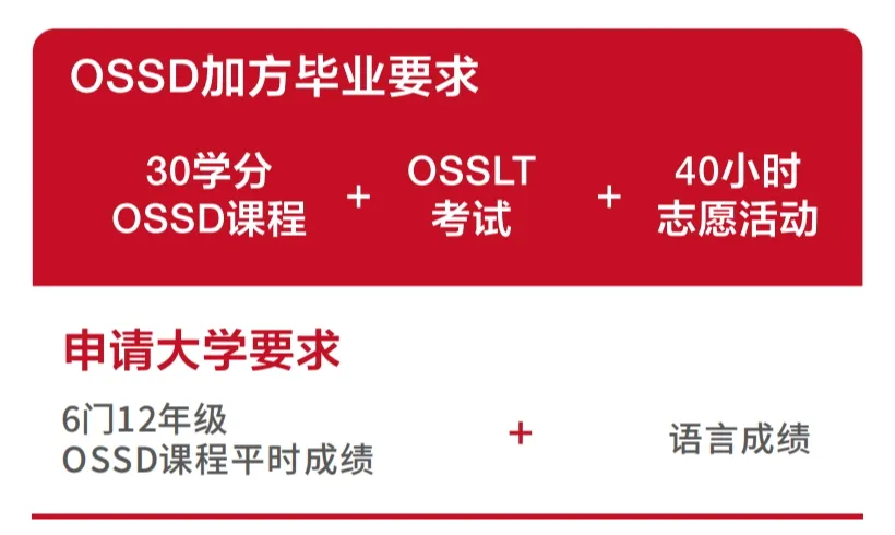 广州加拿大OSSD高中｜广东实验中学越秀学校中外合作办学项目2025年招生简章