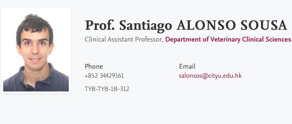 香港城市大学全奖博士项目（Prof. Santiago ALONSO SOUSA）