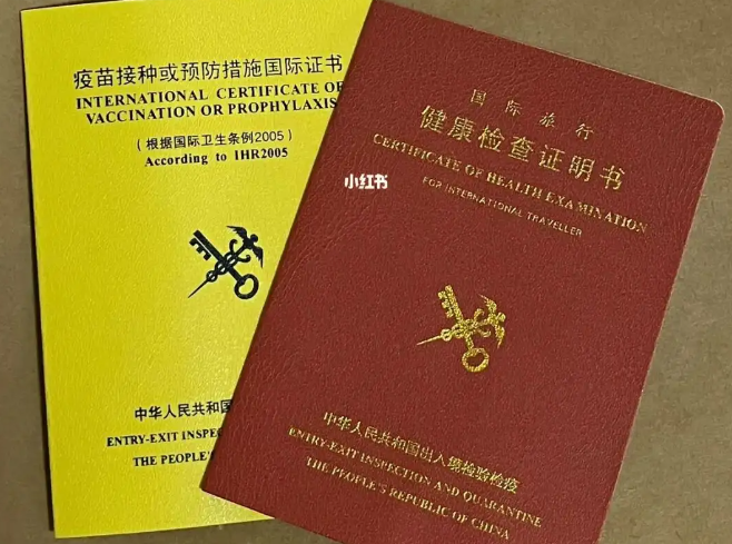 25fall 美国留学行前指南：一篇讲清签证、疫苗、行李..