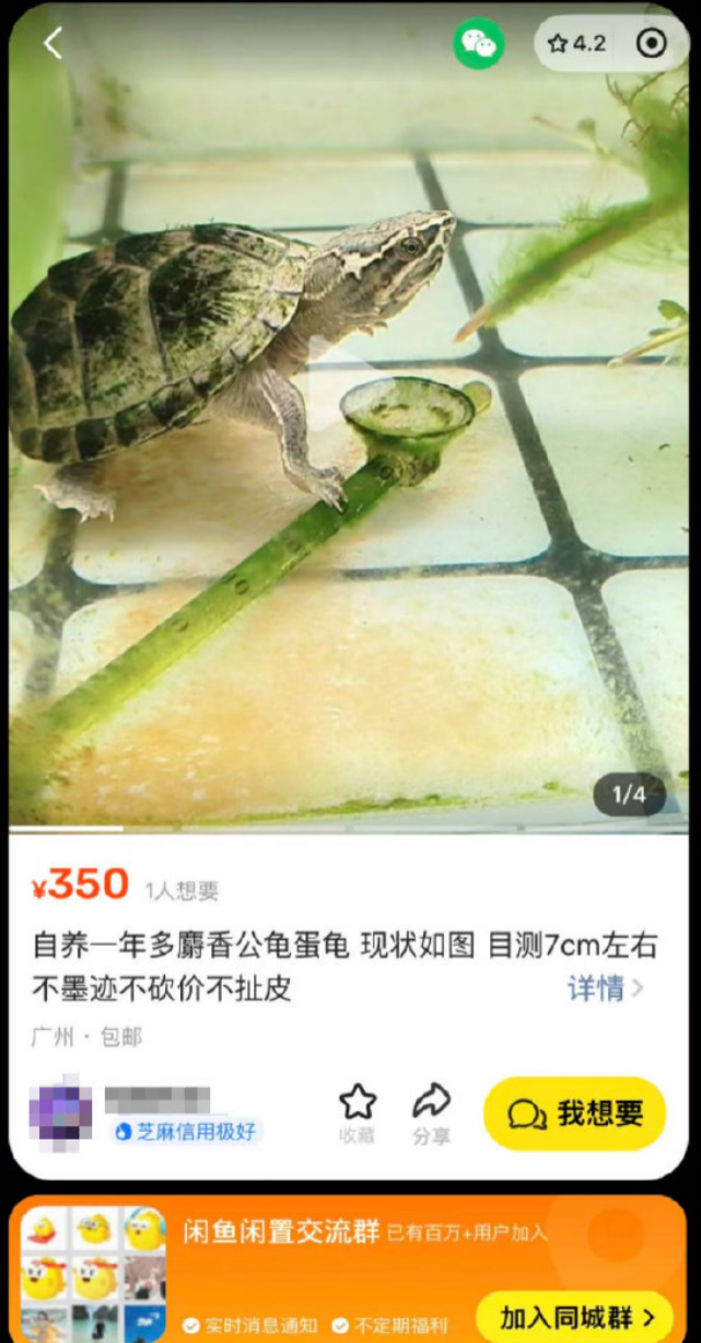 CTB课题推荐 | 以闲鱼为例，探究行为经济学与心理学维度下的交易策略