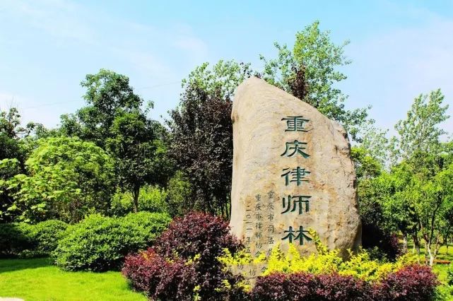 西南政法大学国际本科2+2项目招生简章