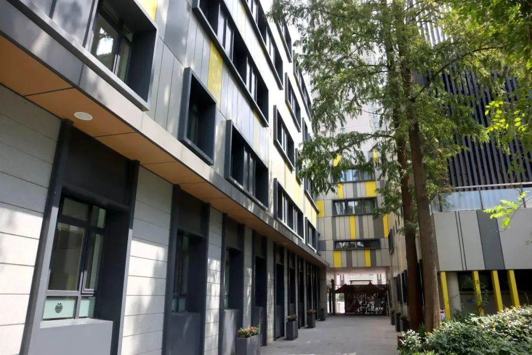 上海长宁区国际高中学校｜耀华学校上海古北校区，艺术方向国际高中！