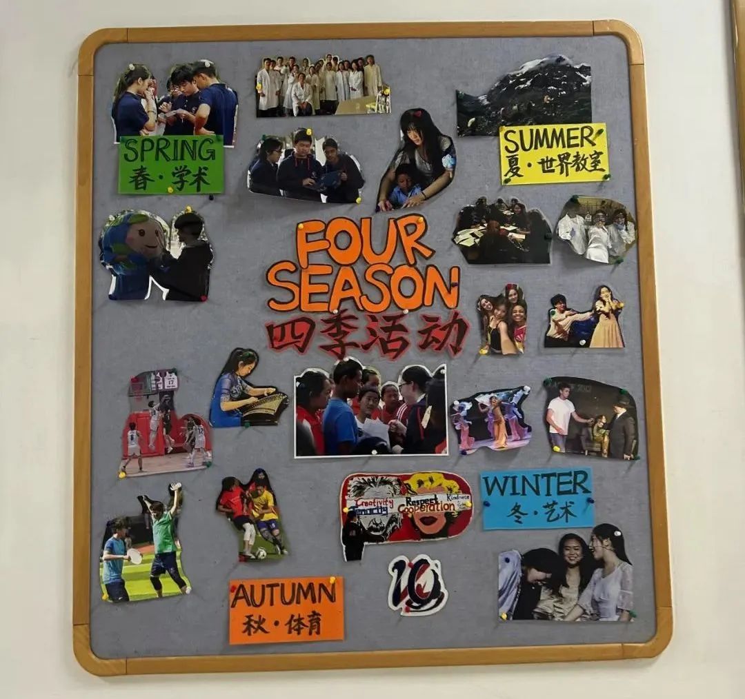 第一所中美合作办学的“中外混血”牛校，上海最难进的学校之一——七宝德怀特，实力究竟有多强？