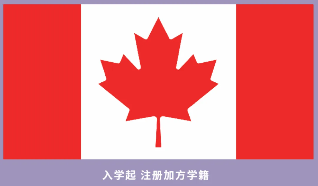 南京国际高中｜学费8万一年！不限学籍户籍！南京理工紫金学院A- level&OSSD课程2025年招生简章！