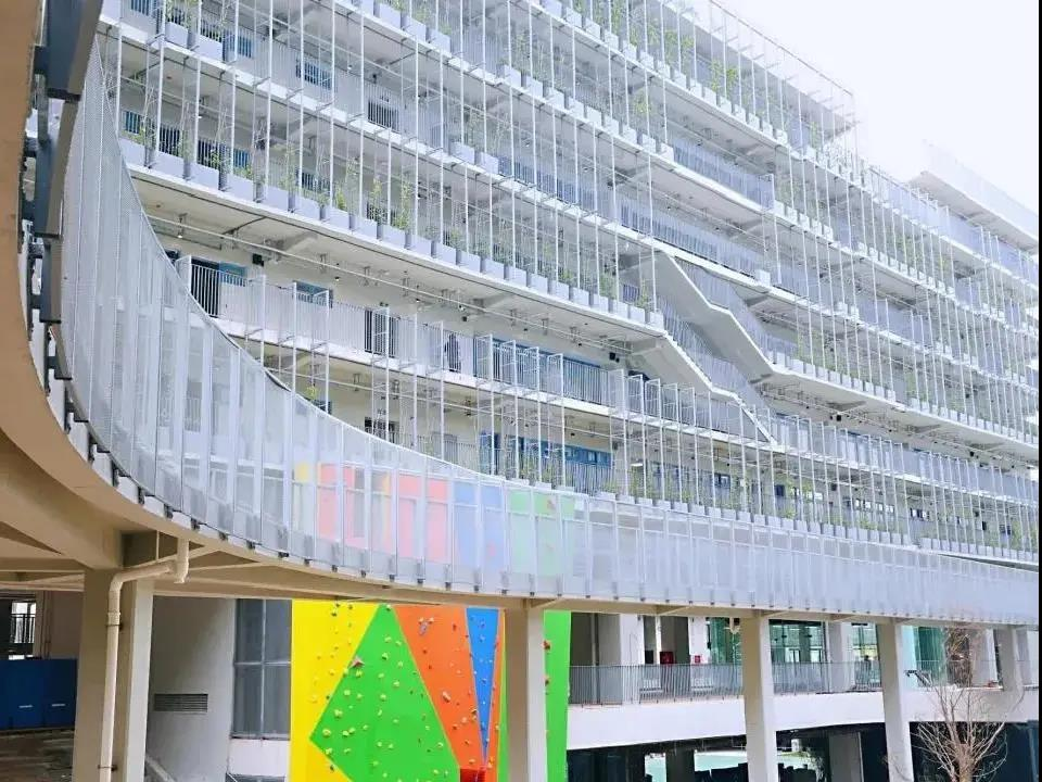学校百科|不止牛剑，美本藤校也开始 “杀疯了，深国交到底牛在哪？