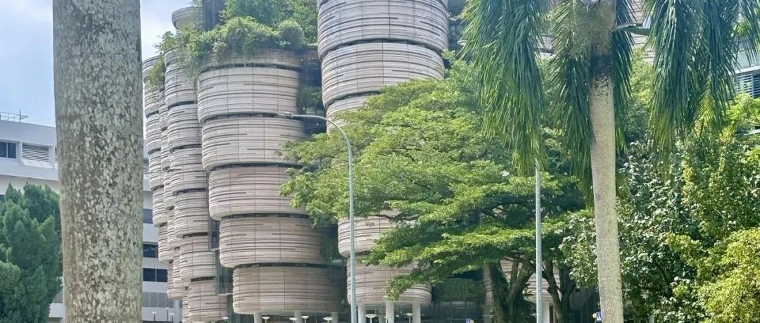 2026寒假南洋理工短期访学热招！AI、机器学习与深度学习项目 四六级450直录 拿官方证书！