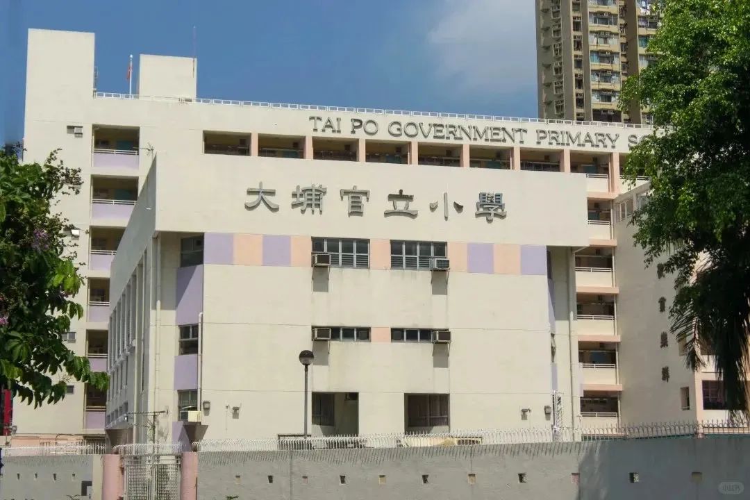 2025香港中小学申请全攻略：港人子弟家庭如何精准择校?