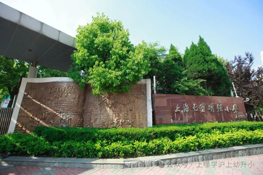 民办未摇中也不怕！汇师、园南、明强东等21所公办摇号失败还能回，快看有你娃的对口校吗？