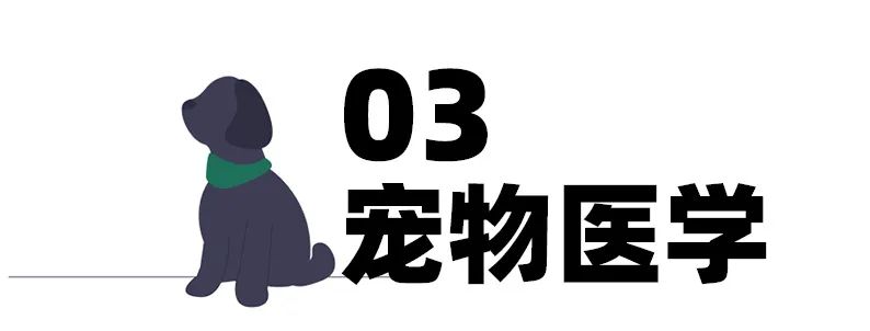 最全医学类合集：临床医学/心理学/兽医学/运动科学，一文搞定！