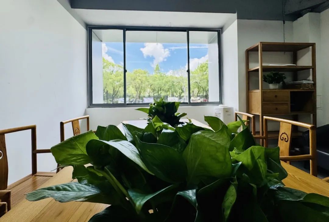 7月26日，上海常青藤学校张江科学城新校区首场实景探校！