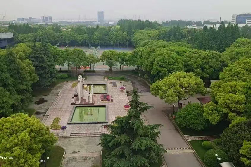 上海择校|上海金苹果学校国际部