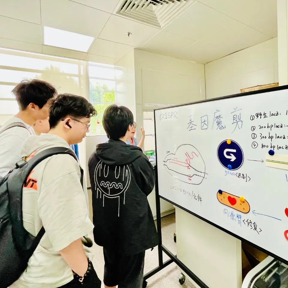 上海国际高中｜上海英澳美行中国际2025年招生简章！双学籍！新增日本高中！