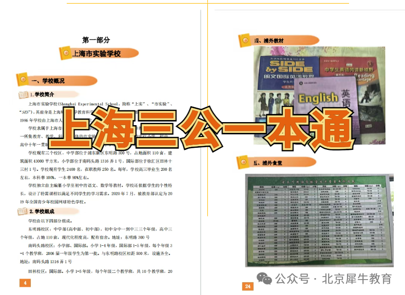 暑假上海三公集训班 | AMC8前1%和小托福850分+怎么备考规划？徐汇/黄浦/浦东/虹桥任你选！