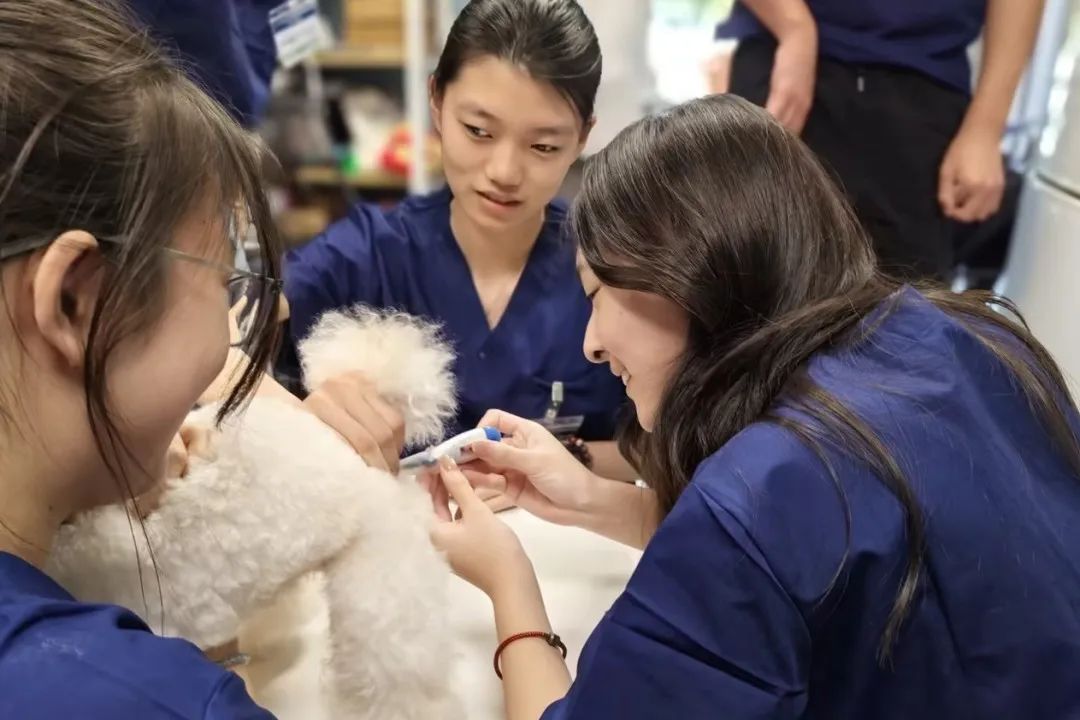 最全医学类合集：临床医学/心理学/兽医学/运动科学，一文搞定！