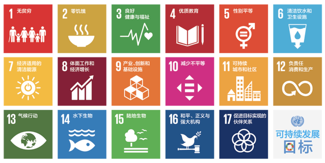 2025年THE世界大学影响力排名！这所大学连续四年吊打全球高校！