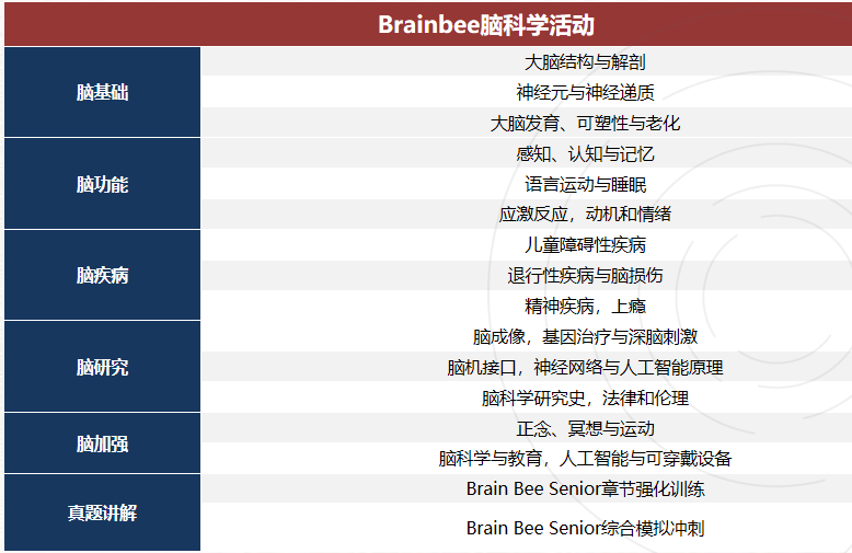 零基础小白进！BrainBee 脑科学大赛几年级参加？含金量/竞赛内容/辅导课程···