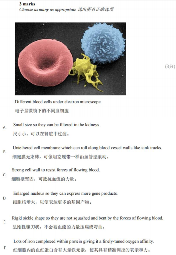 英国BBO生物竞赛：含金量/考试重难点/奖项设置/辅导课程（线上+深圳线下）