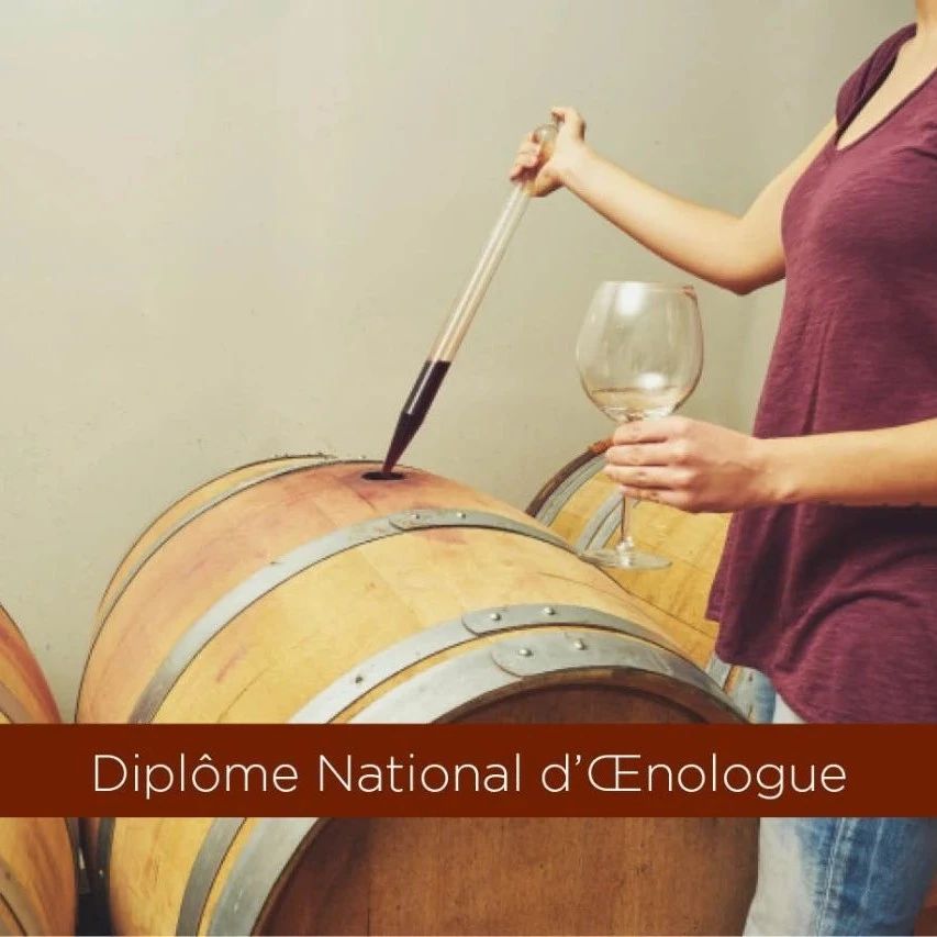 兰斯大学：两年制硕士国家酿酒师文凭 Diplôme national d'œnologue