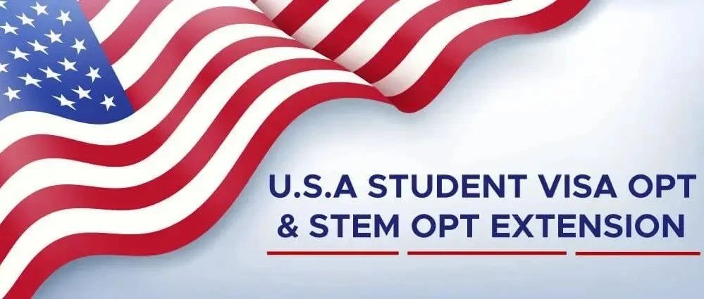 美国留子口中常说的OPT是什么？
