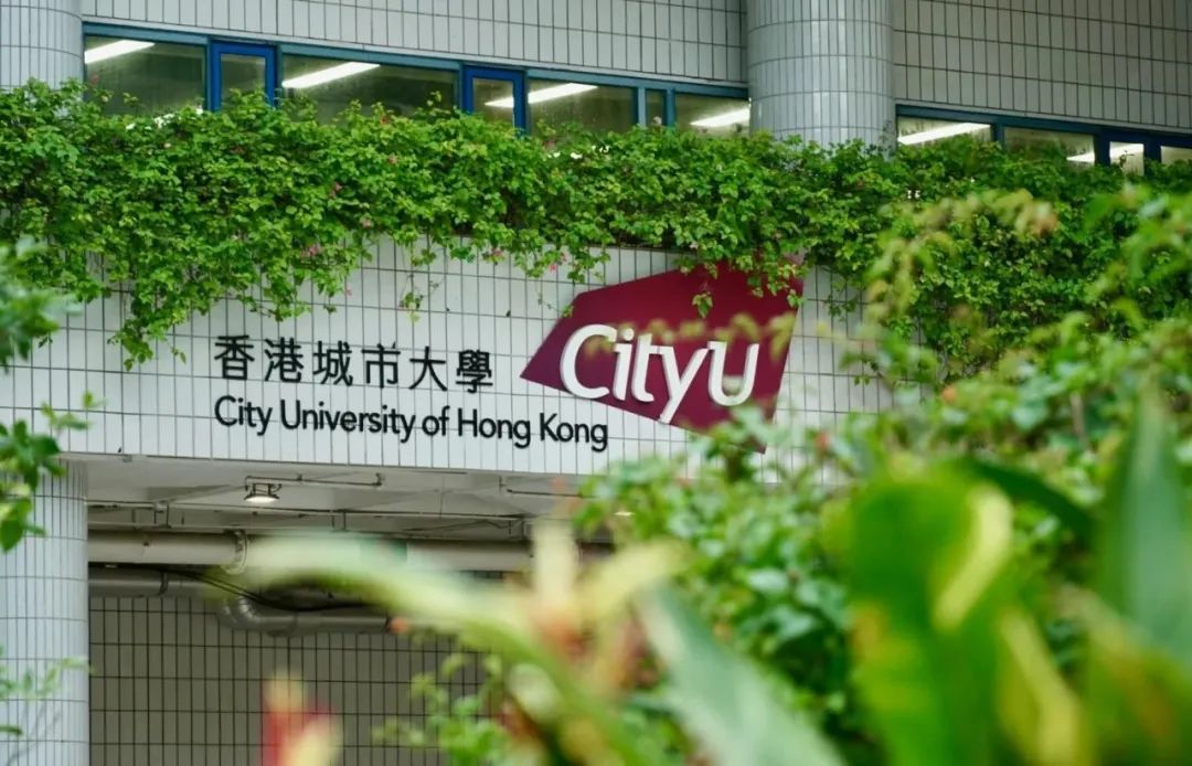 最适合高中生的材料科学入门！来自全港排名第一的香港城市大学！