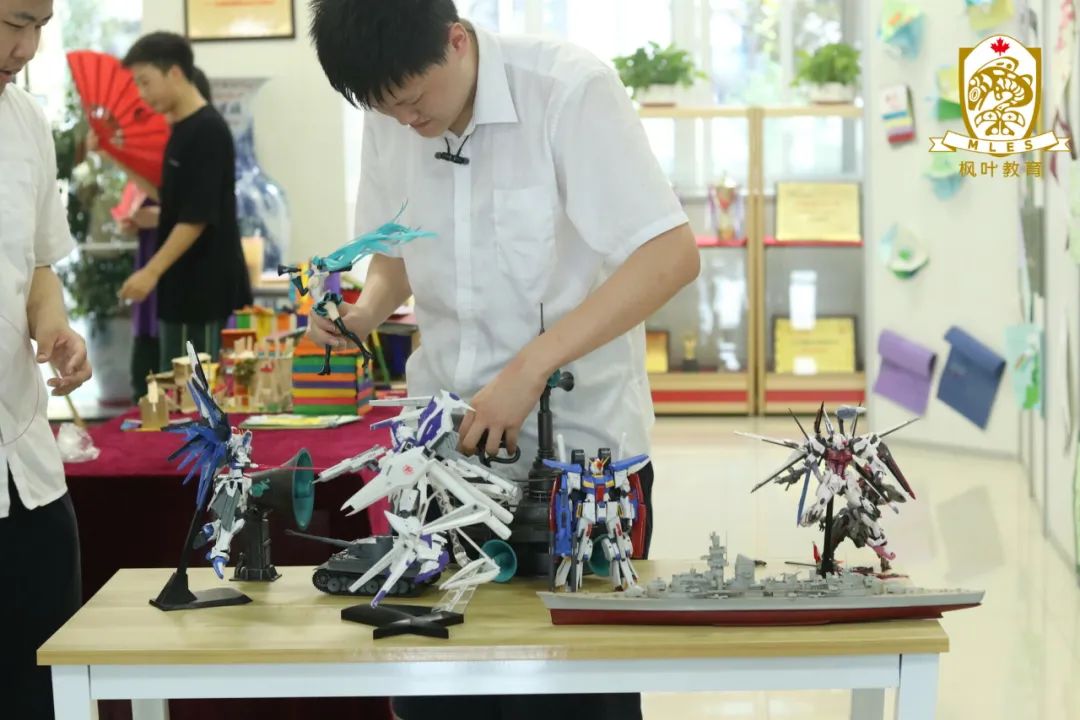 中考463-513如何选择高中？——补录倒计时！抢占优质国际教育资源，冲刺全球top100!