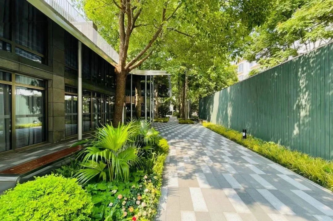 中考生转轨国际学校|闵行万科双语高中7月29日补录考试报名！