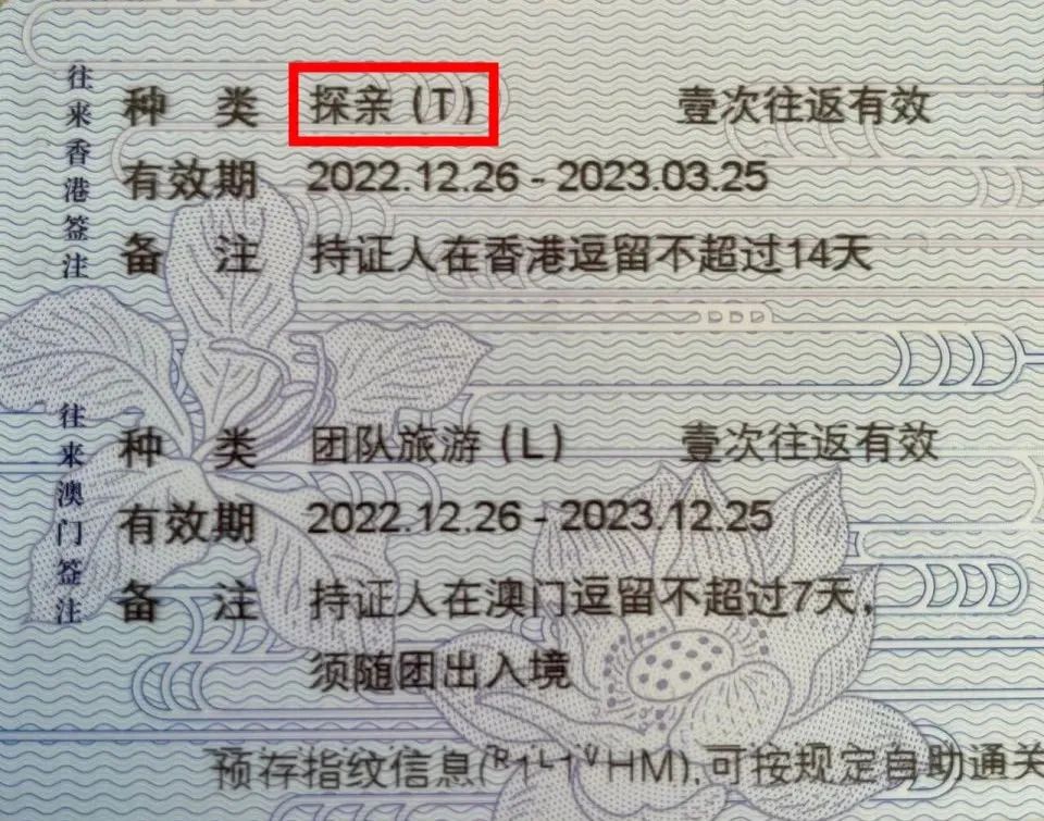 如何申请香港探亲签证？这份攻略请收好！