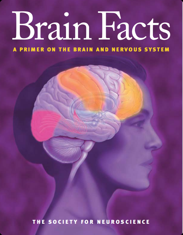申请港校必参加Brain Bee脑科学大赛？为什么Brainbee含金量这么高？
