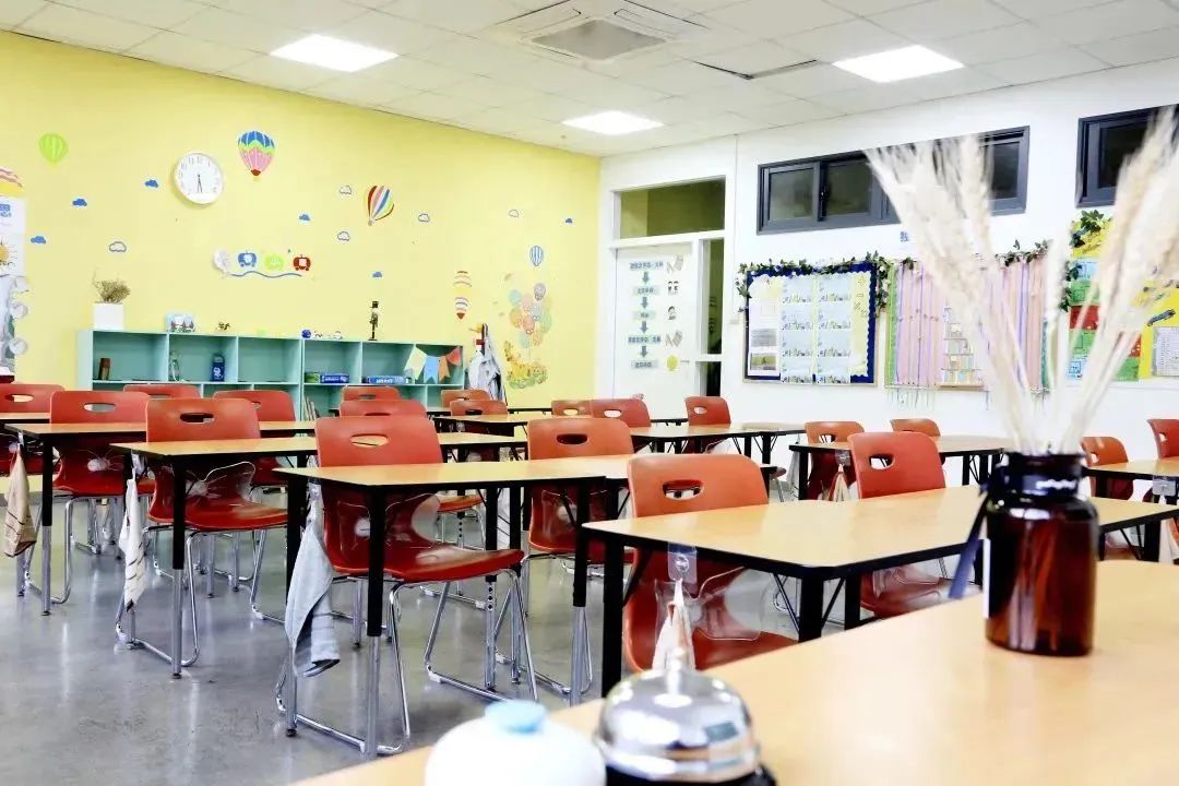 深圳国际学校｜深圳市南山区道新学校